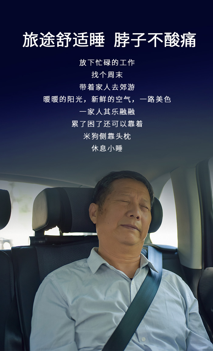 侧靠头枕