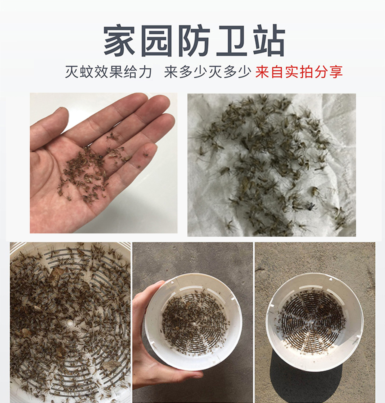 米狗电子灭蚊灯MW01