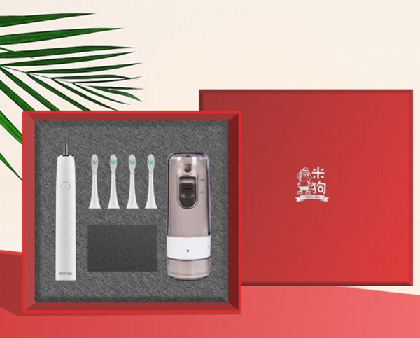 电动牙刷+冲牙器套装