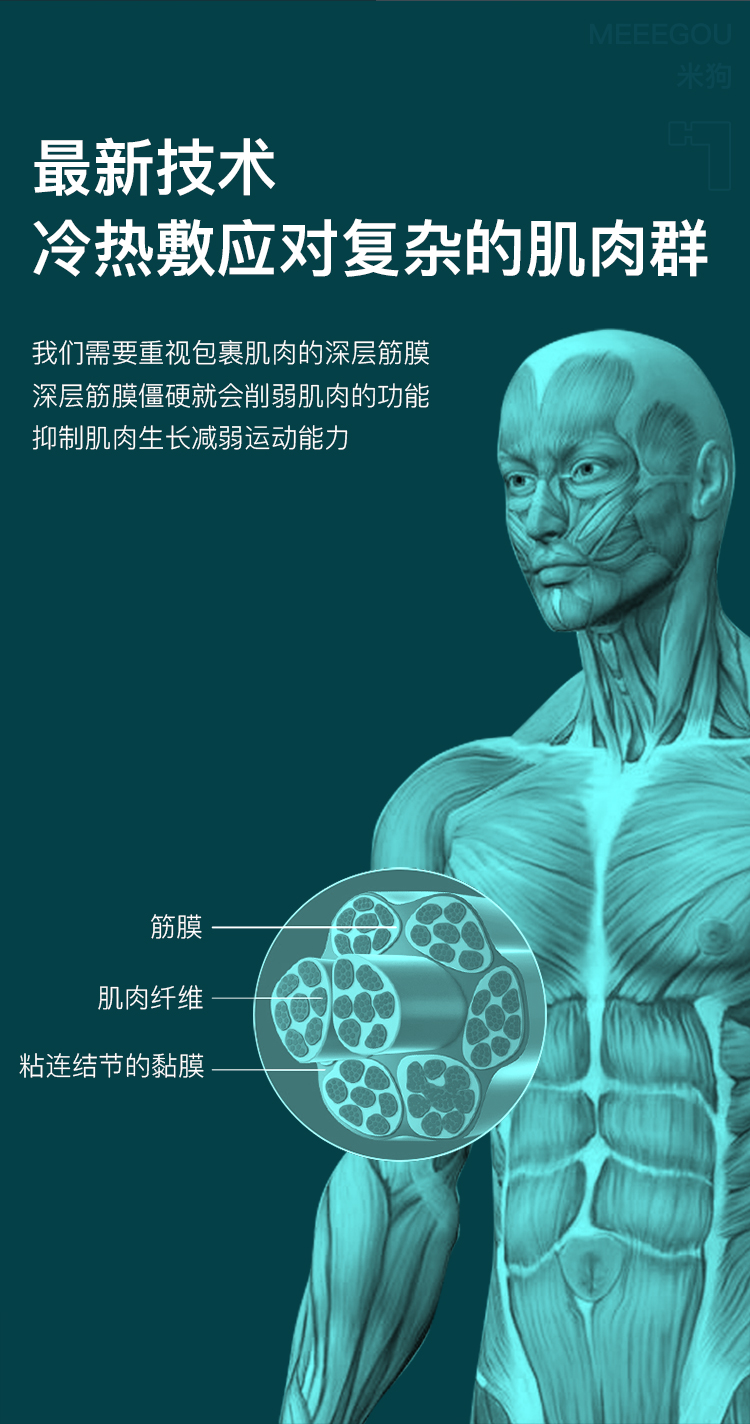 冷热筋膜枪